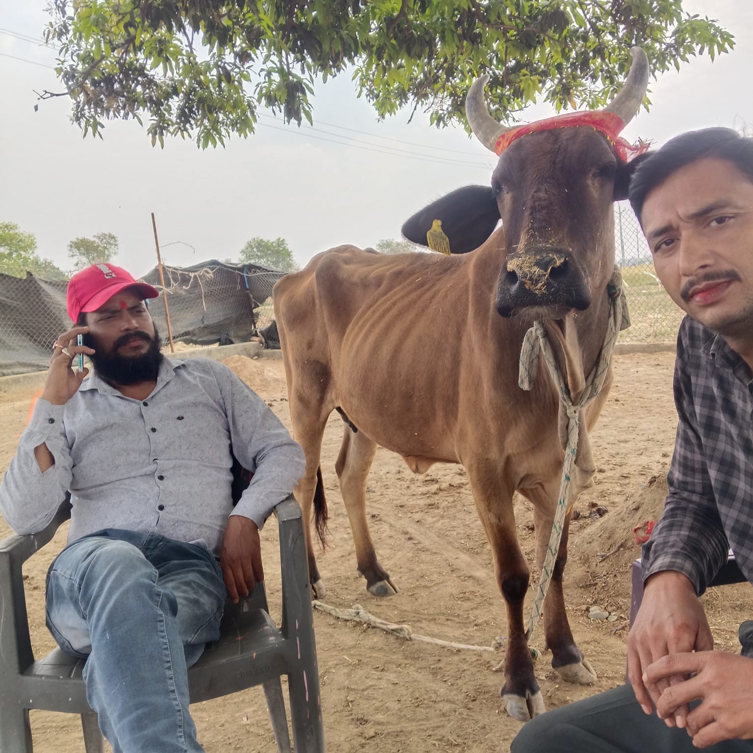 Nandini
